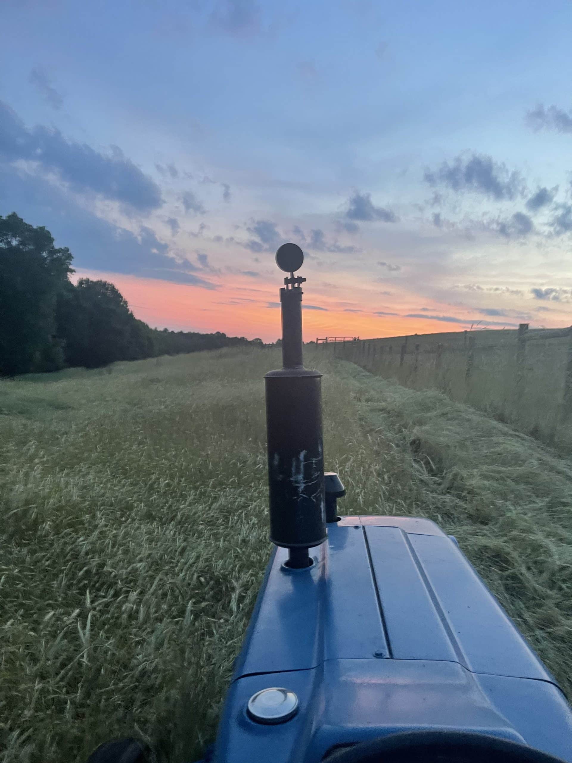 A blue tractor cuts through a tall field as the sun sets in the distance. The sky is orange and has some scattered clouds.